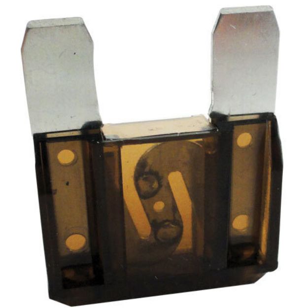 Picture of 100 Amp Maxi Blade Fuse